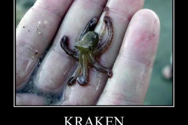Кракен стор