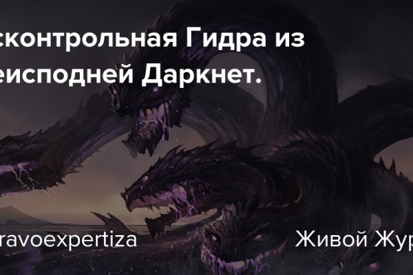 Kraken online