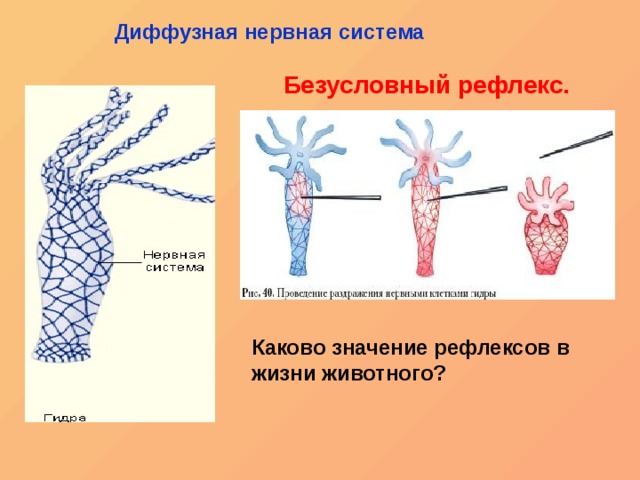 Кракен даркнет только через
