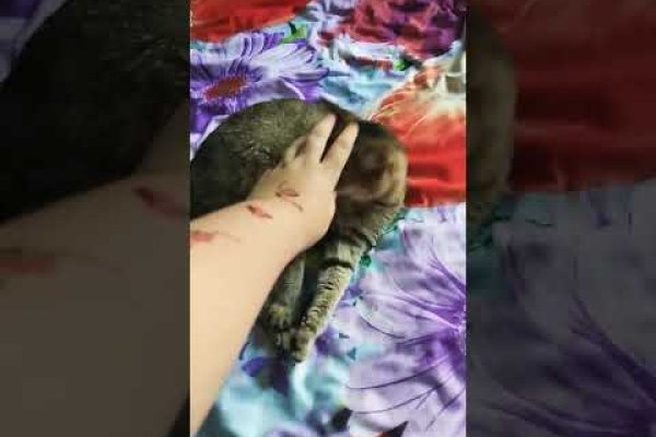 Как войти в кракен через тор