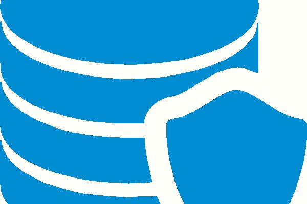 Kraken online