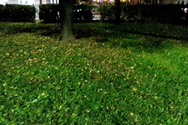 Кракен как зайти ссылка