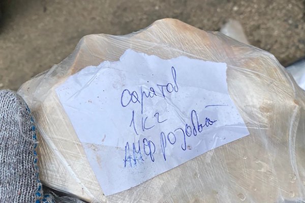 Открыть даркнет